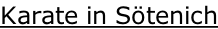 Karate in Sötenich